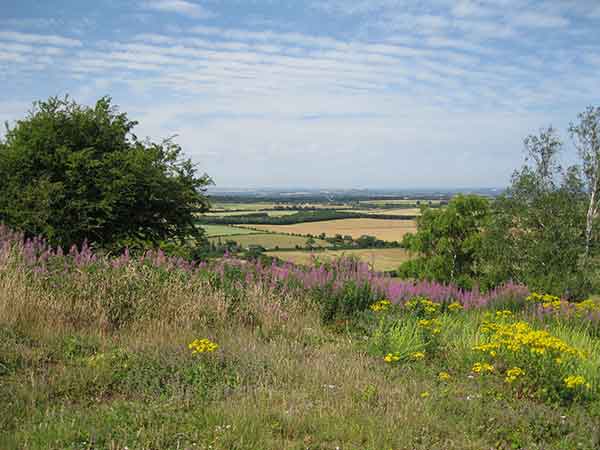  View of South Oxfordshire from atop the Chilterns at Watlington Hill. Photo by Patrick Higgins